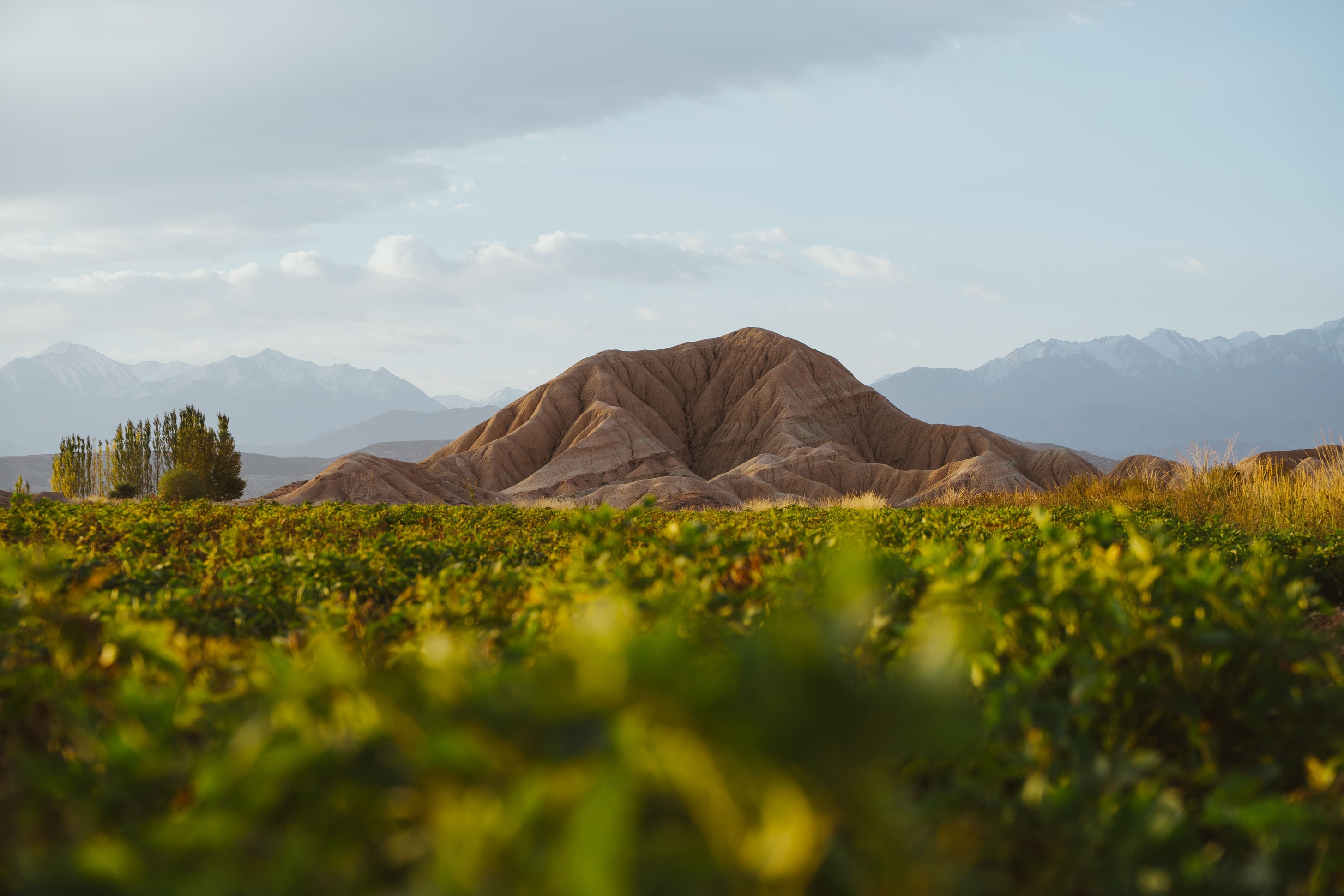 Landscape Photo 7